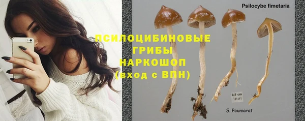 apvp Навашино