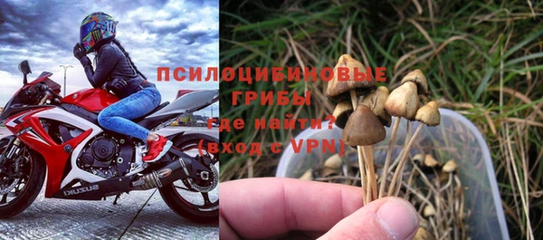 трава Нефтекумск